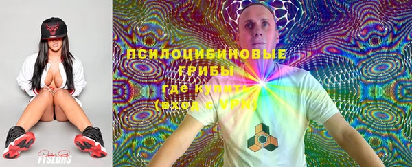 прущие крисы Елизово
