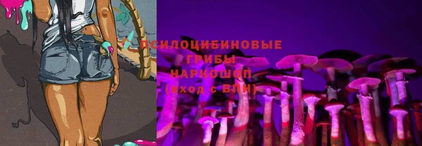 гидра Ельня