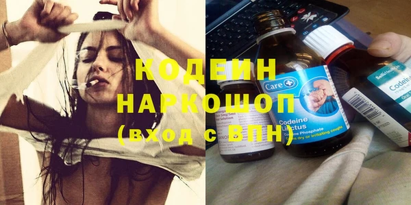 стафф Заводоуковск