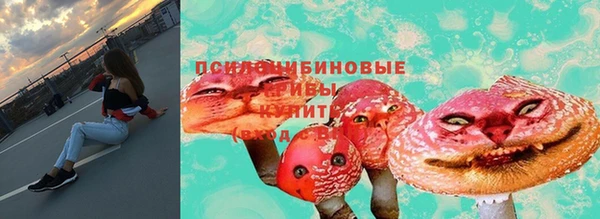 дмт Баксан