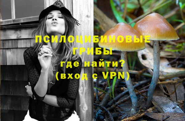 трава Балахна