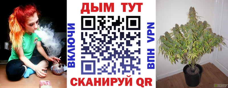 купить наркотики цена  Колпашево  MEGA зеркало  Канабис MAZAR 